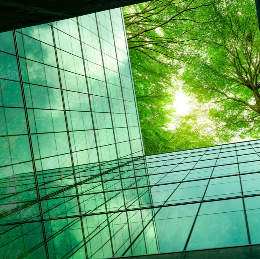 ¿Por qué Grant Thornton?